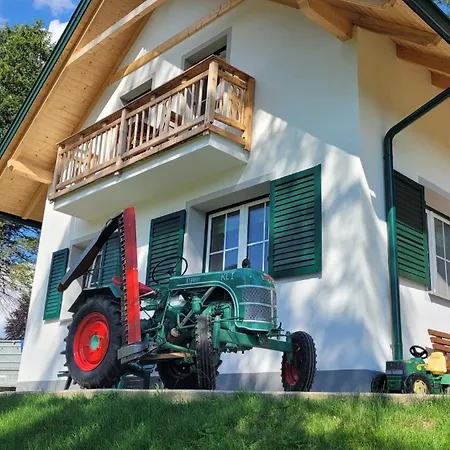 Ferienhaus 37 Oberland Gaflenz